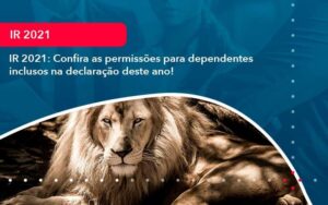 IR 2021: Confira as permissões para dependentes inclusos na declaração deste ano!